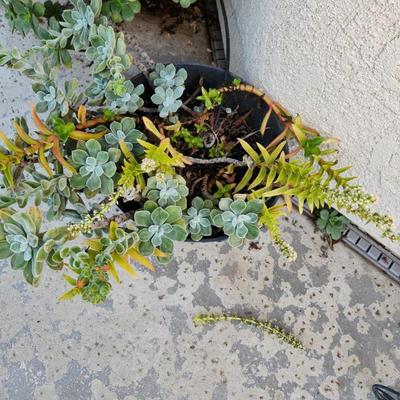 Sale Photo Thumbnail #369