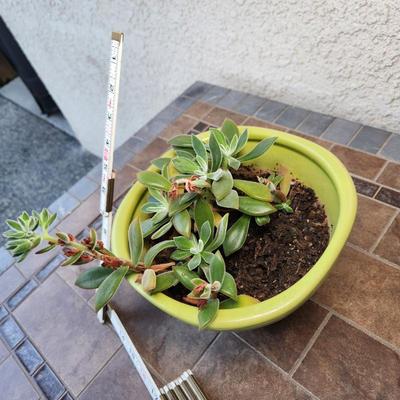 Sale Photo Thumbnail #385