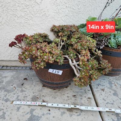 Sale Photo Thumbnail #364