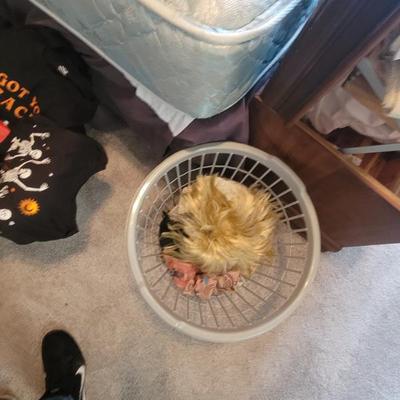 Sale Photo Thumbnail #458