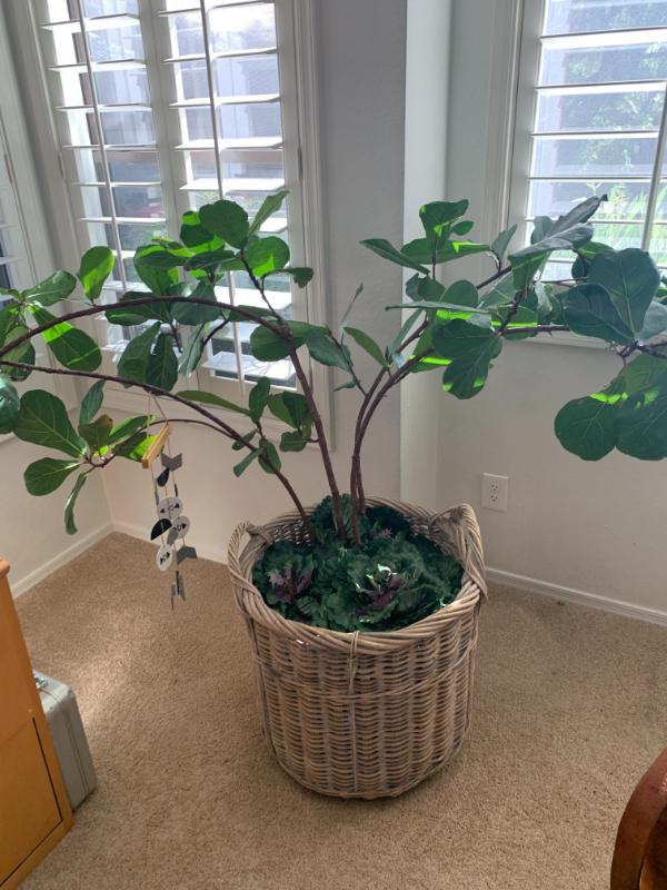 Sale Photo Thumbnail #29