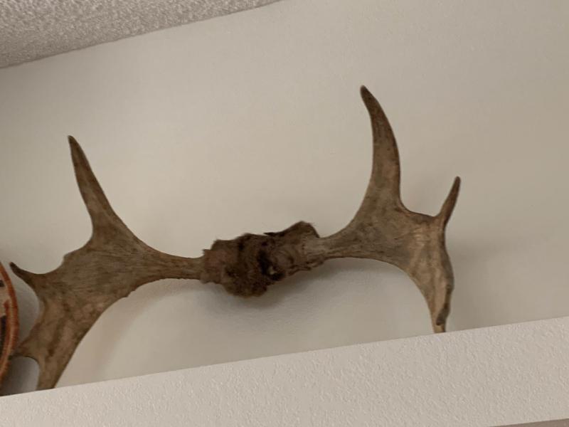 Sale Photo Thumbnail #34