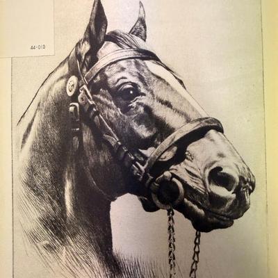 Sale Photo Thumbnail #22