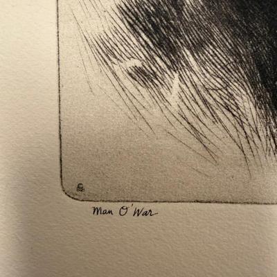 Sale Photo Thumbnail #23