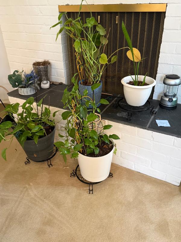 Sale Photo Thumbnail #22