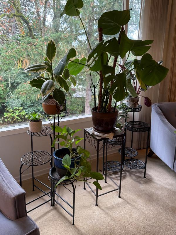 Sale Photo Thumbnail #23