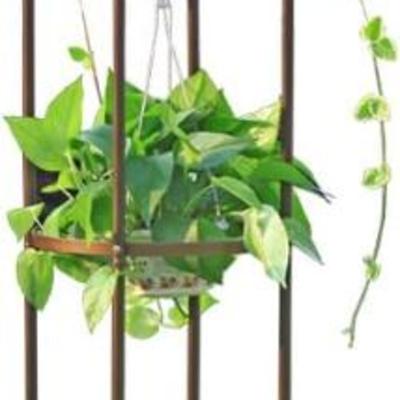 Sale Photo Thumbnail #42