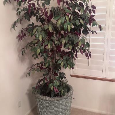 Sale Photo Thumbnail #62