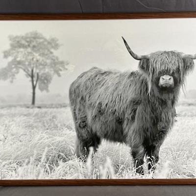 Sale Photo Thumbnail #310