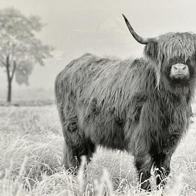 Sale Photo Thumbnail #312