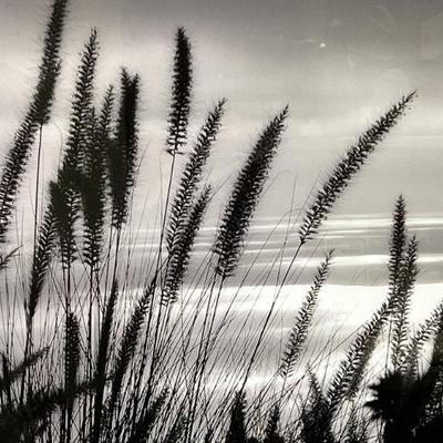 Sale Photo Thumbnail #320