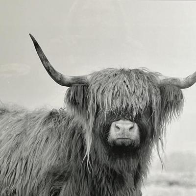 Sale Photo Thumbnail #313