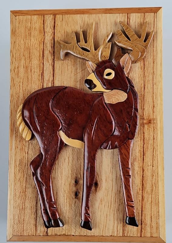 Sale Photo Thumbnail #363