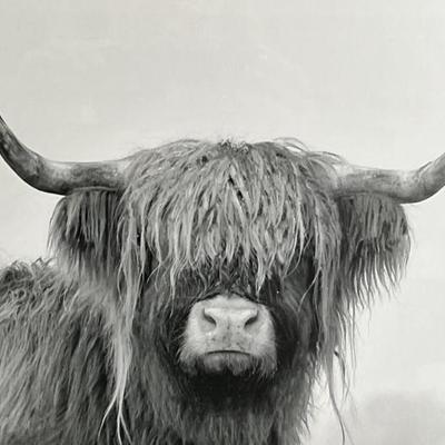 Sale Photo Thumbnail #311