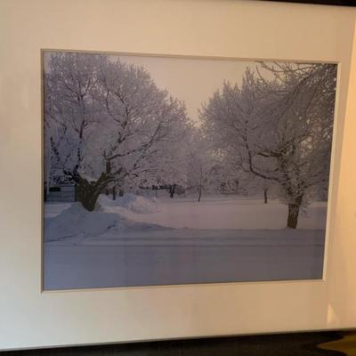 Sale Photo Thumbnail #205