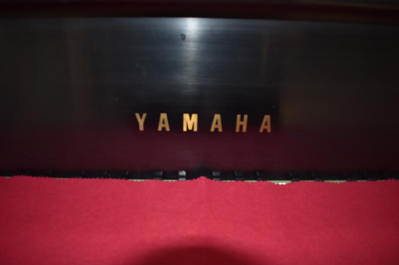 Sale Photo Thumbnail #3