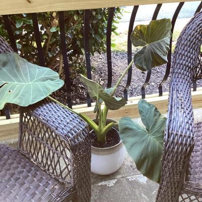 Sale Photo Thumbnail #16