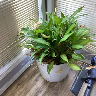 Sale Photo Thumbnail #34