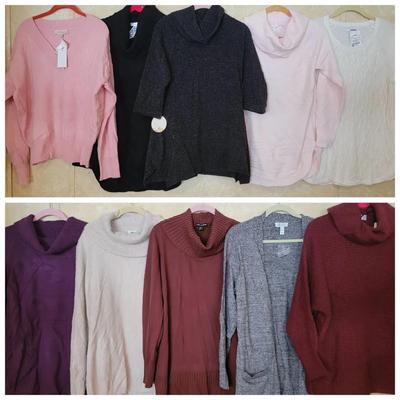 Sweaters Size L NWT #1