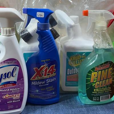 Household Cleaning Supplies (2)