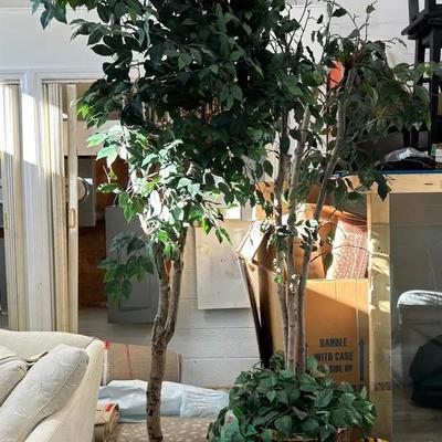 Faux Ficus Trees - 7’ & 8’