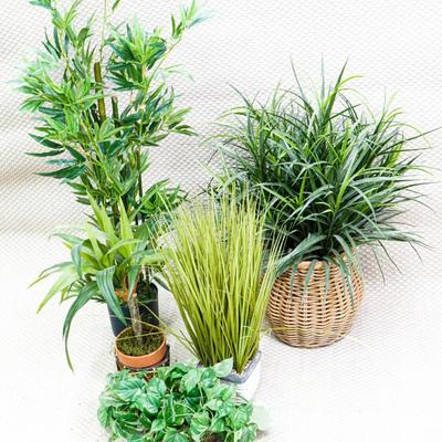 Faux Potted Plants (5) - 48" To 8"