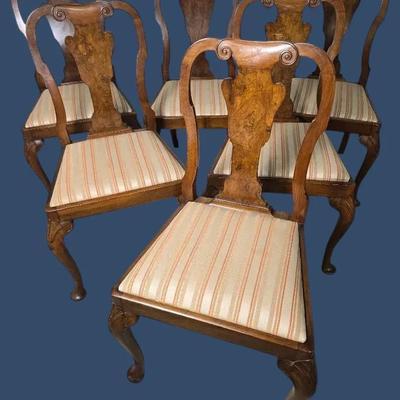 Queen Anne Style Walnut Dining Chairs with Burl Vasiform Splats (6)