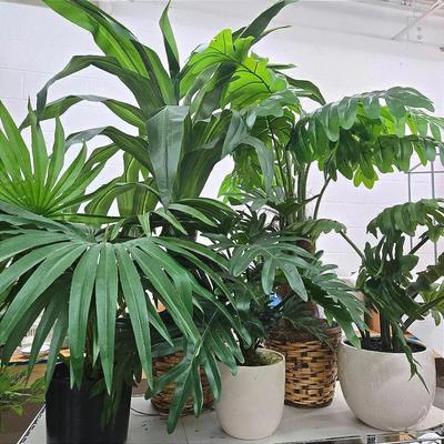 Faux Potted Plants (5) - 40" To 20"