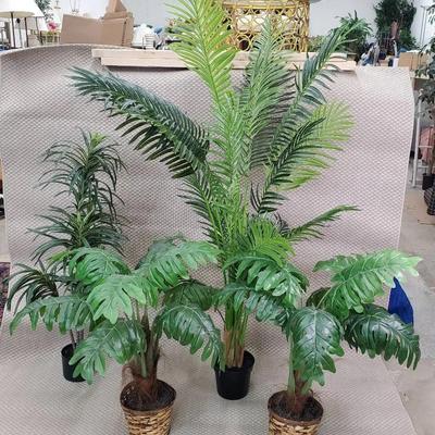 Faux Tropical Plants (4) - Tallest 75”