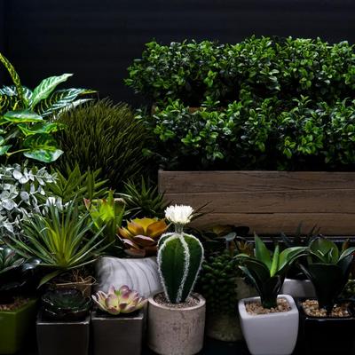 Faux Succulants And Potted Plants - 4" To 13"