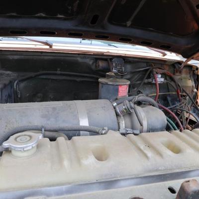 Sale Photo Thumbnail #928