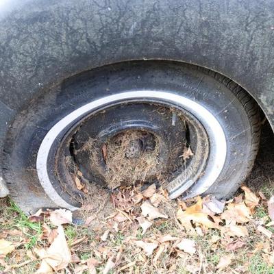 Sale Photo Thumbnail #60