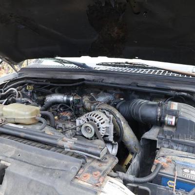 Sale Photo Thumbnail #967