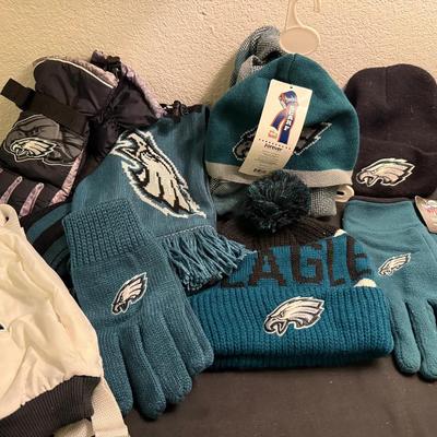 Eagles Winter