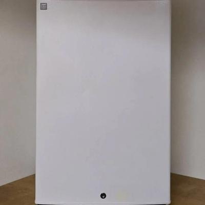 GE Mini Fridge (B)
