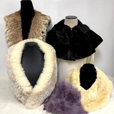 Furs, Feathers and More
