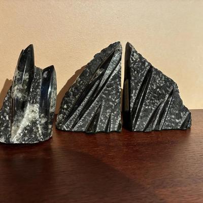 Devonian Era Fossil Bookends 