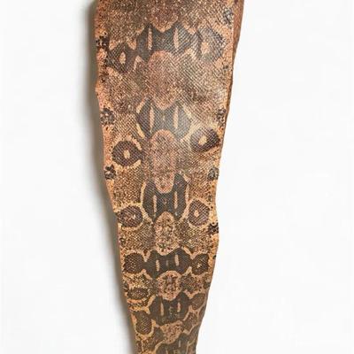 Large Snake Skin (80 Inches Long)