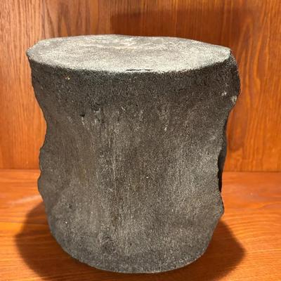 Tertiary Period Primitive Whale Vertebrae (4.5 Million Years Old)