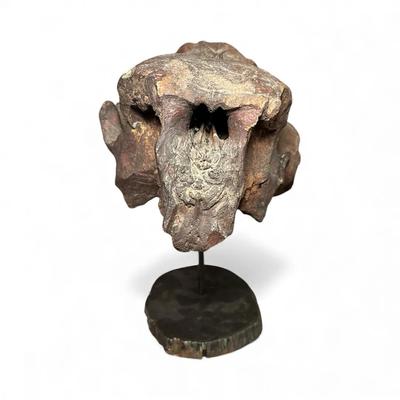 Ancient Animal Skull Fossil, Mammoth? Cave Bear