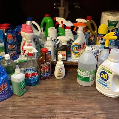 Household Cleaning Products 