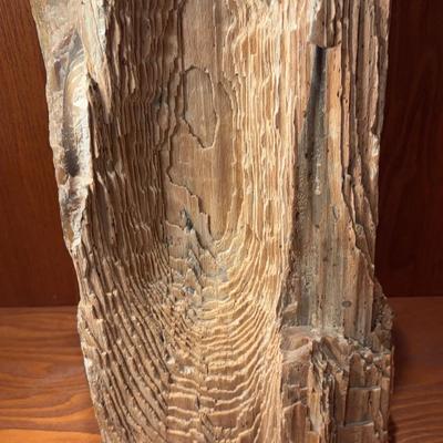 Petrified Wood 