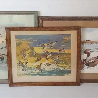 Vintage Duck Prints