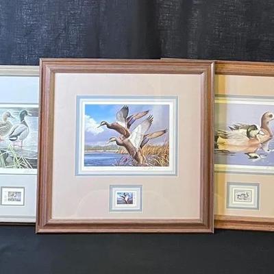 Matted And Framed Duck Stamp Prints #1