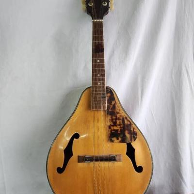 Tenada Mandolin 