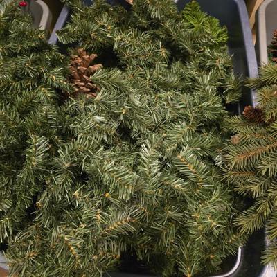 Sale Photo Thumbnail #40