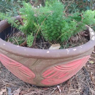 Large Decorative Clay Pot With Greenery