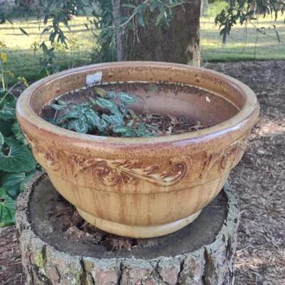 Large Decorative Planter With Greenery 