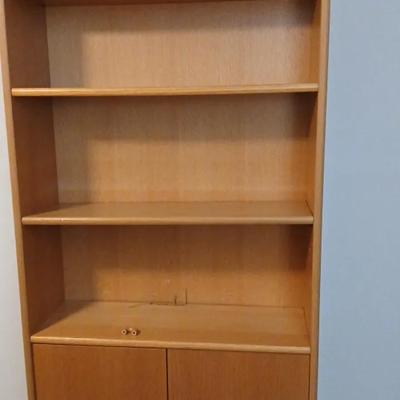  Book Case With Open Shelving And Cabinet Storage 