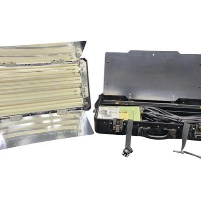 AL108 Lowel Light In Portable Case